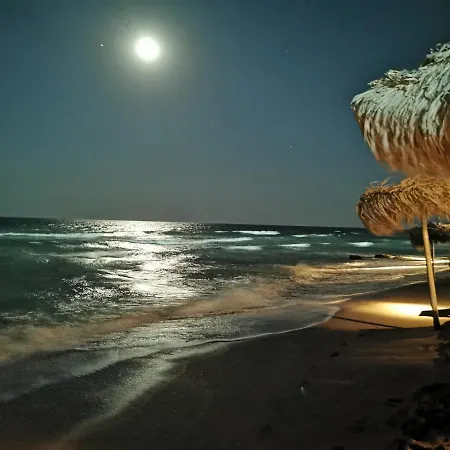 Crazy شقة