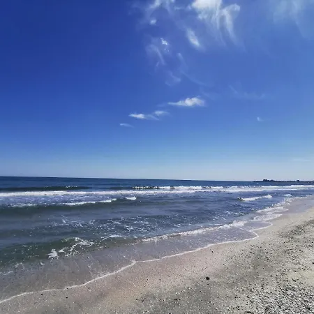 Crazy Mamaia